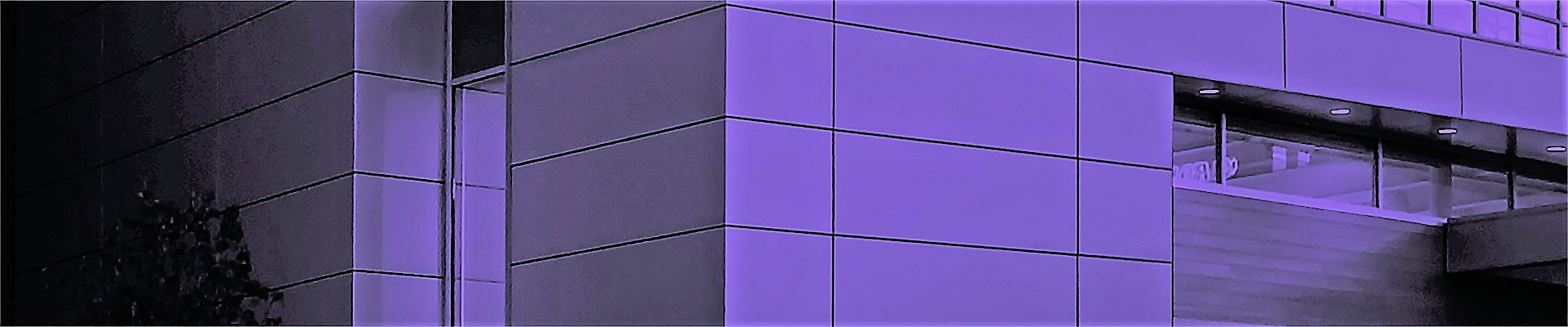 &nbsp;